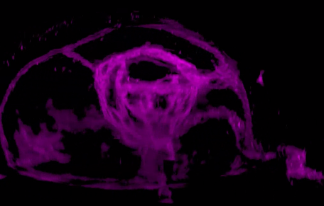 86.png