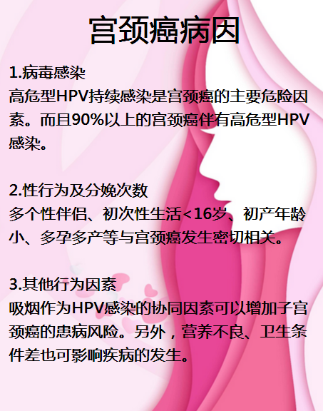 圖片65.png