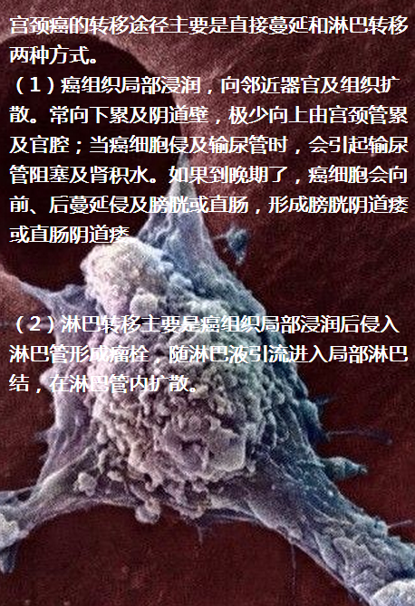 圖片67.png