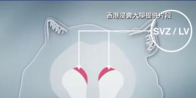 圖片93.png