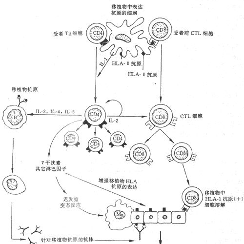 圖片157.png
