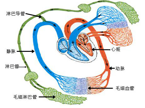 圖片169.png