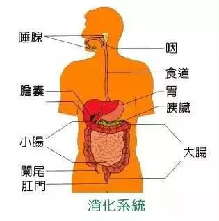 圖片3.png