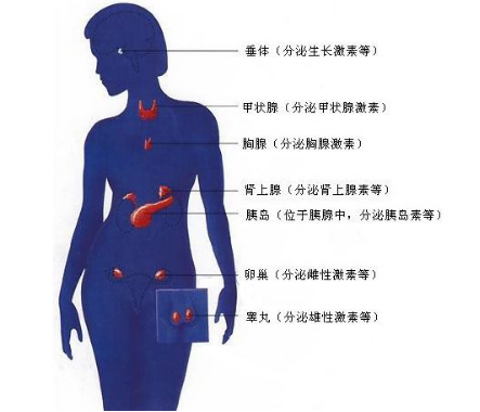 圖片2.png